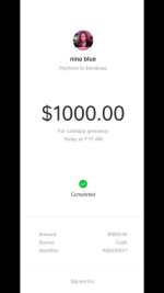 Recieve Cashapp funds - Image 17