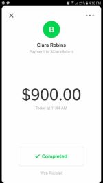 Recieve Cashapp funds - Image 14