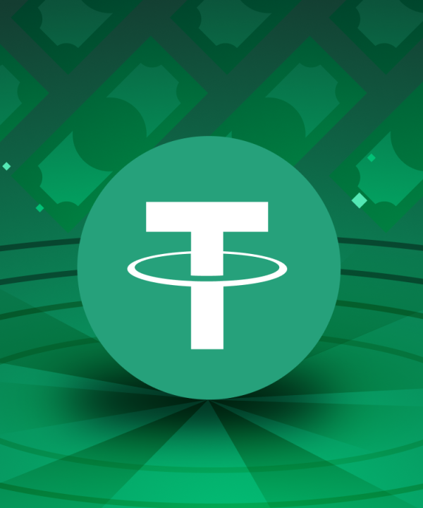 Fake USDT flush sender Software