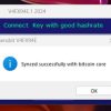 Bitcoin Sender Flash software