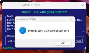 Bitcoin Sender Flash software